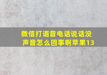 微信打语音电话说话没声音怎么回事啊苹果13