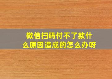 微信扫码付不了款什么原因造成的怎么办呀