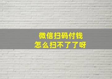 微信扫码付钱怎么扫不了了呀