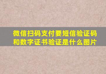 微信扫码支付要短信验证码和数字证书验证是什么图片