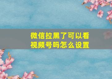 微信拉黑了可以看视频号吗怎么设置