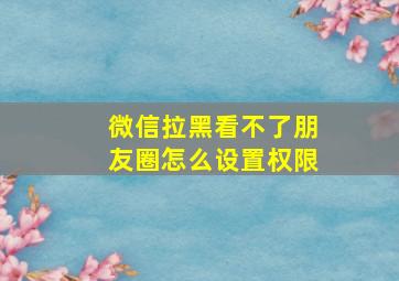 微信拉黑看不了朋友圈怎么设置权限