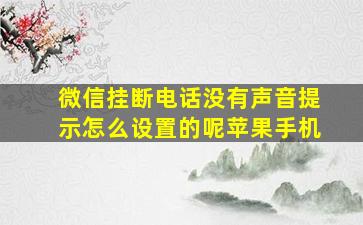 微信挂断电话没有声音提示怎么设置的呢苹果手机