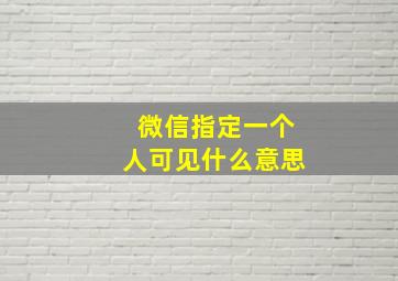 微信指定一个人可见什么意思