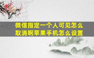 微信指定一个人可见怎么取消啊苹果手机怎么设置