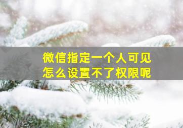 微信指定一个人可见怎么设置不了权限呢