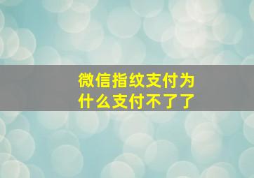 微信指纹支付为什么支付不了了