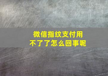 微信指纹支付用不了了怎么回事呢