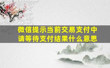 微信提示当前交易支付中请等待支付结果什么意思