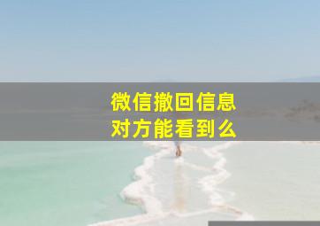 微信撤回信息对方能看到么