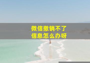 微信撤销不了信息怎么办呀