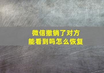 微信撤销了对方能看到吗怎么恢复