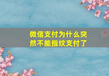 微信支付为什么突然不能指纹支付了