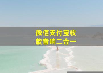 微信支付宝收款音响二合一