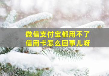 微信支付宝都用不了信用卡怎么回事儿呀