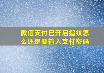 微信支付已开启指纹怎么还是要输入支付密码