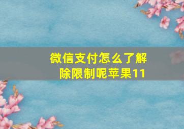 微信支付怎么了解除限制呢苹果11