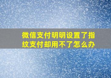 微信支付明明设置了指纹支付却用不了怎么办