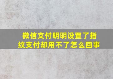 微信支付明明设置了指纹支付却用不了怎么回事