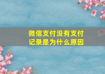 微信支付没有支付记录是为什么原因