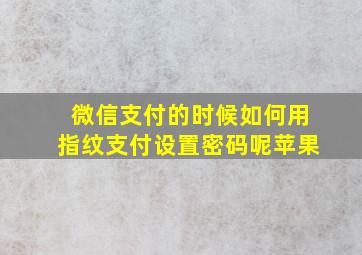 微信支付的时候如何用指纹支付设置密码呢苹果