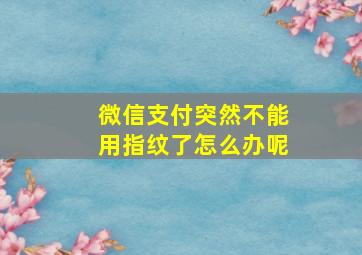 微信支付突然不能用指纹了怎么办呢