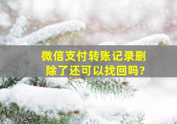 微信支付转账记录删除了还可以找回吗?