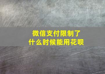 微信支付限制了什么时候能用花呗