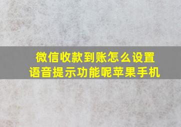 微信收款到账怎么设置语音提示功能呢苹果手机