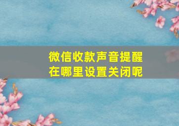 微信收款声音提醒在哪里设置关闭呢