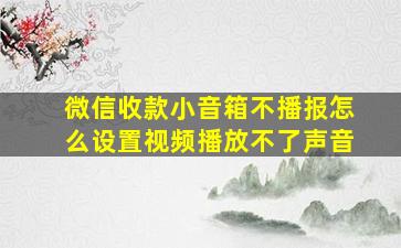 微信收款小音箱不播报怎么设置视频播放不了声音