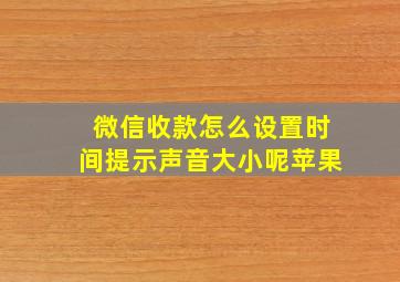 微信收款怎么设置时间提示声音大小呢苹果