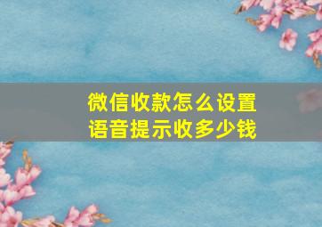 微信收款怎么设置语音提示收多少钱