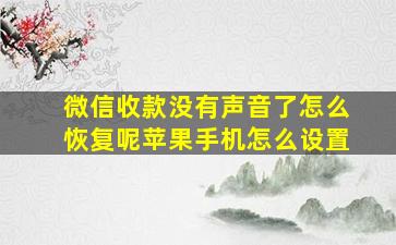 微信收款没有声音了怎么恢复呢苹果手机怎么设置