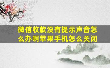 微信收款没有提示声音怎么办啊苹果手机怎么关闭