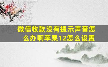 微信收款没有提示声音怎么办啊苹果12怎么设置