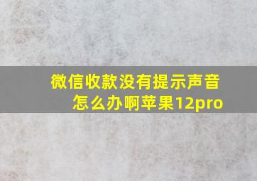 微信收款没有提示声音怎么办啊苹果12pro