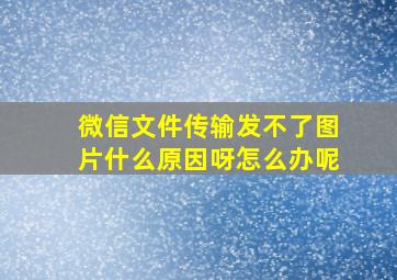 微信文件传输发不了图片什么原因呀怎么办呢