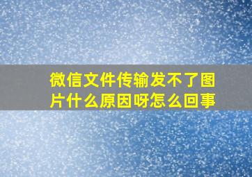 微信文件传输发不了图片什么原因呀怎么回事