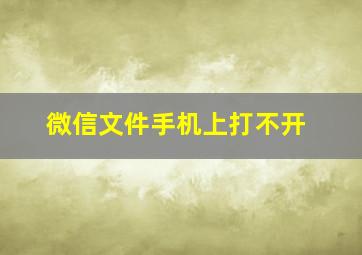 微信文件手机上打不开