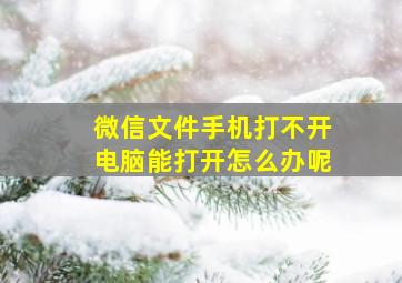 微信文件手机打不开电脑能打开怎么办呢