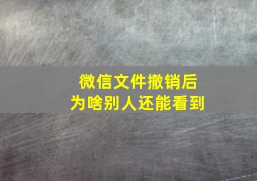 微信文件撤销后为啥别人还能看到