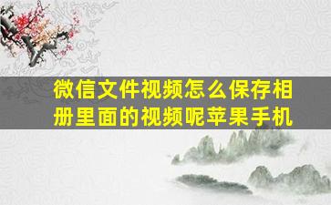 微信文件视频怎么保存相册里面的视频呢苹果手机