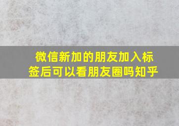 微信新加的朋友加入标签后可以看朋友圈吗知乎