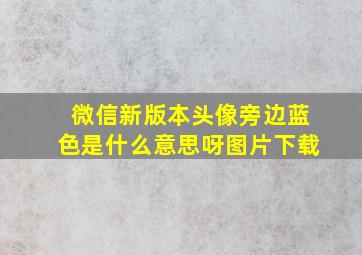 微信新版本头像旁边蓝色是什么意思呀图片下载