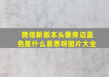 微信新版本头像旁边蓝色是什么意思呀图片大全