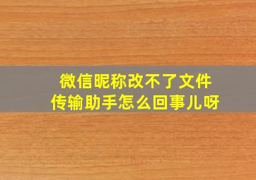 微信昵称改不了文件传输助手怎么回事儿呀