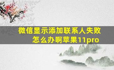 微信显示添加联系人失败怎么办啊苹果11pro