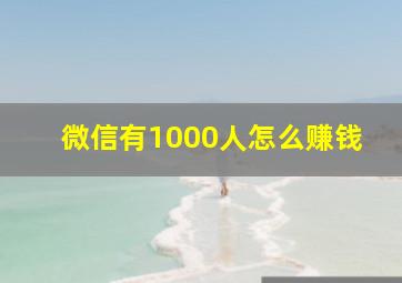 微信有1000人怎么赚钱