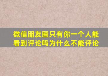 微信朋友圈只有你一个人能看到评论吗为什么不能评论